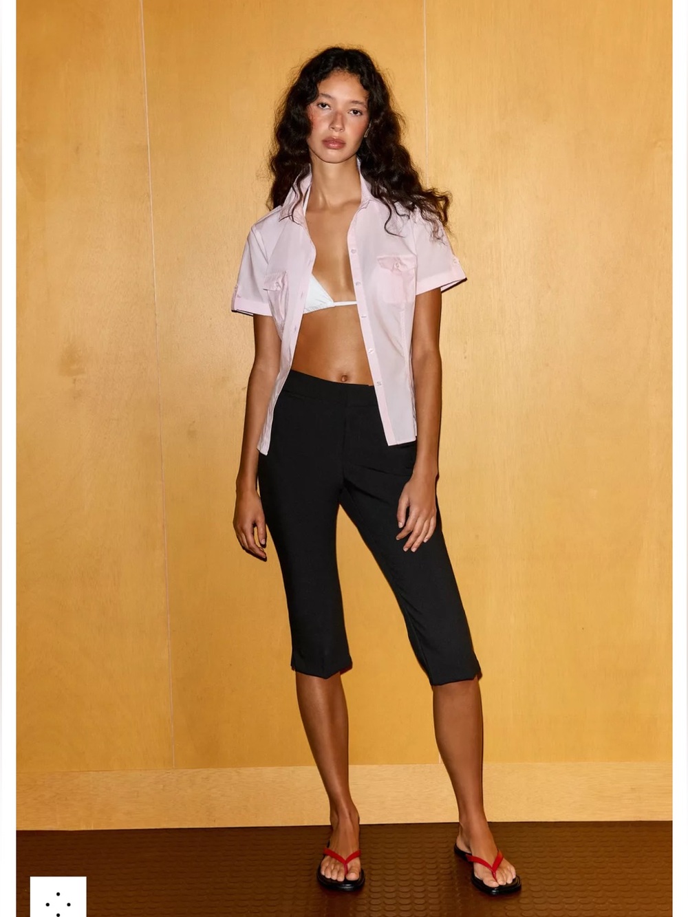 Zara Capri Pants